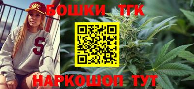 молекула духа Пугачёв