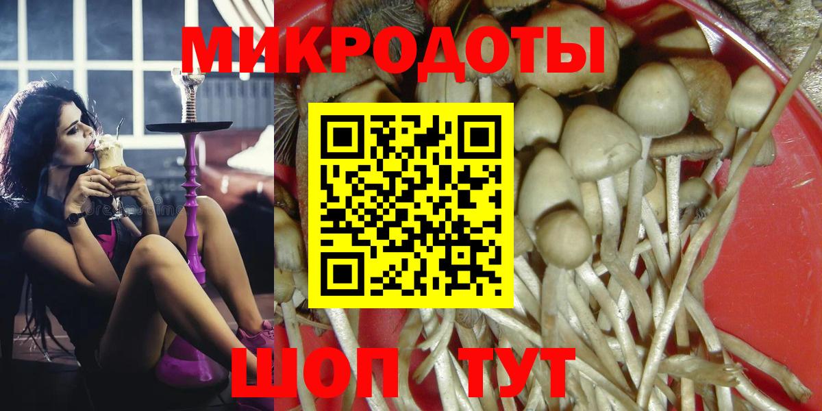 Псилоцибиновые грибы GOLDEN TEACHER Баксан