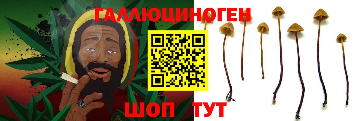 Галлюциногенные грибы мицелий  Вход с VPN  Баксан 